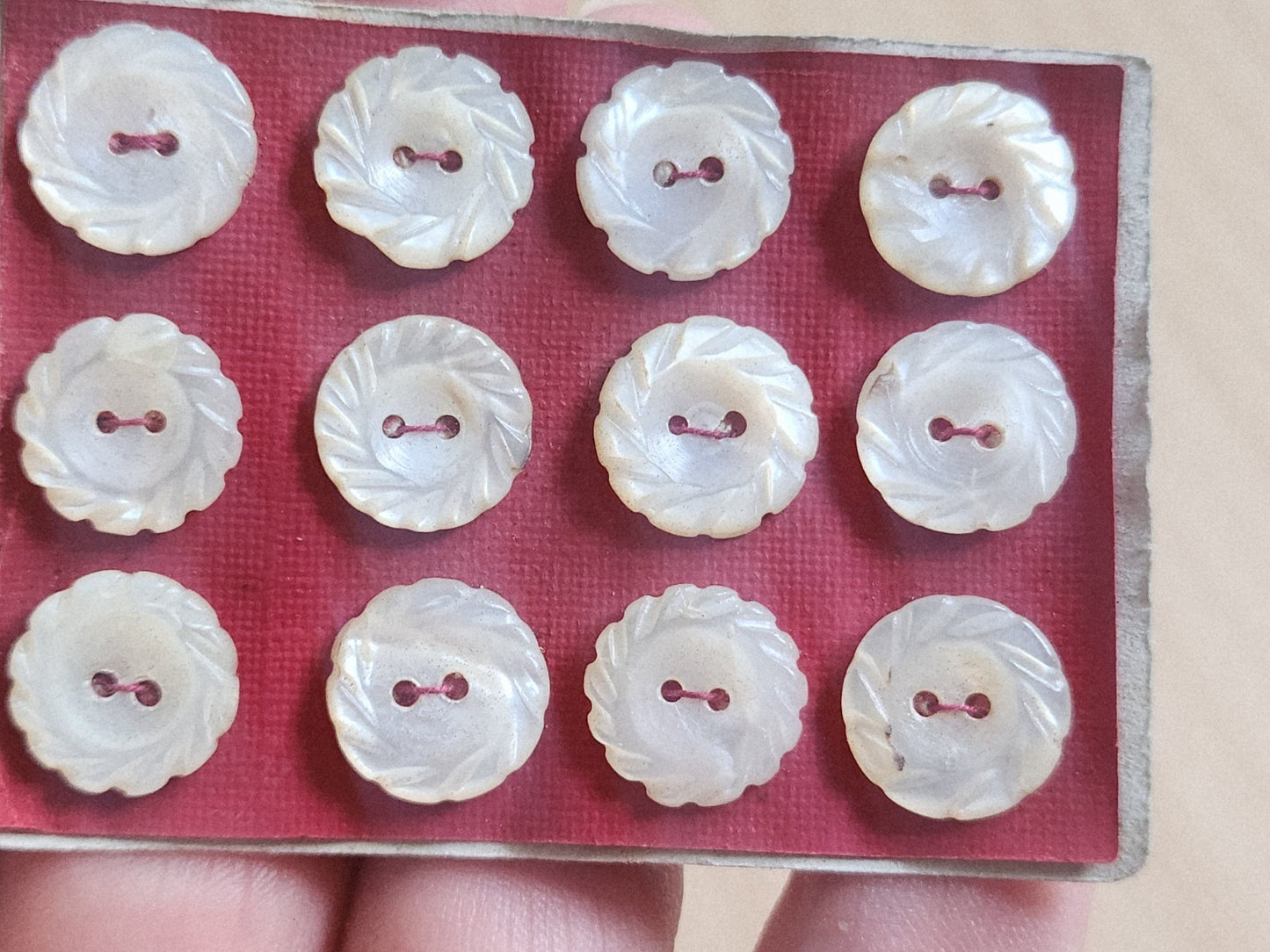 Rare petite plaque boutons anciens en nacre  1,2 cm  lot de 12 n°67
