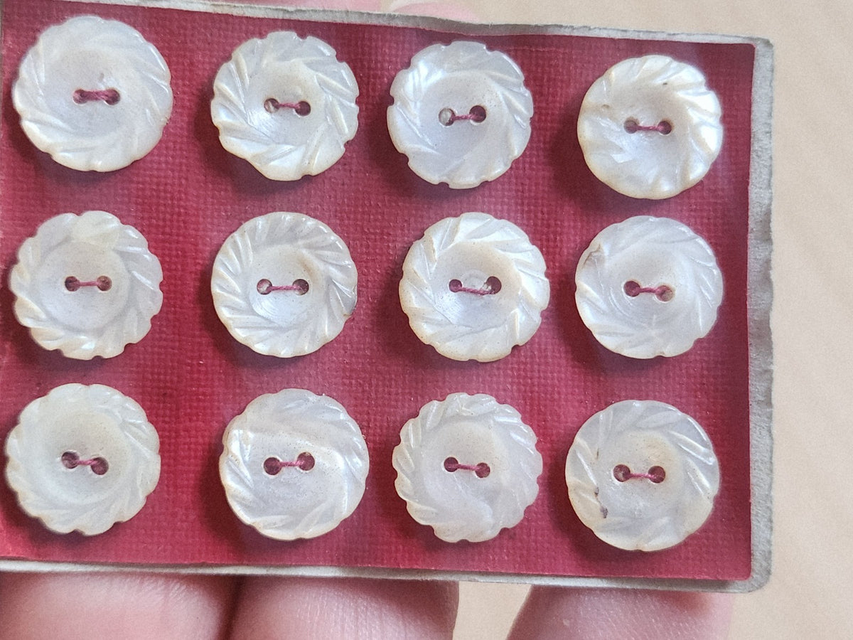 Rare petite plaque boutons anciens en nacre  1,2 cm  lot de 12 n°67
