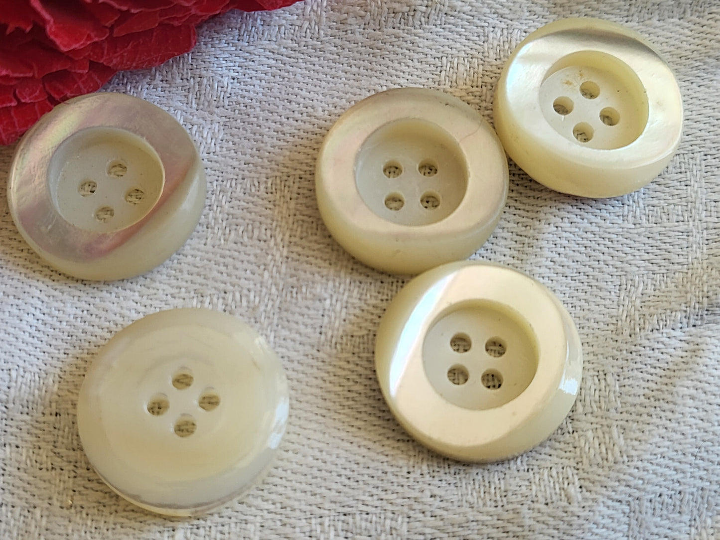  lot 5 boutons anciens en nacre Haut rebord   diamètre 1,7 cm ref 5633