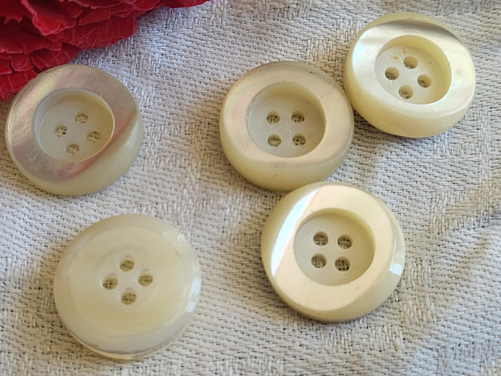  lot 5 boutons anciens en nacre Haut rebord   diamètre 1,7 cm ref 5633