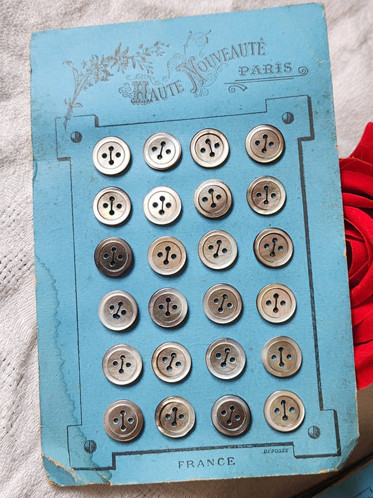Plaque 24 boutons anciens en nacre gris 1,2 cm année 20/30 N°5