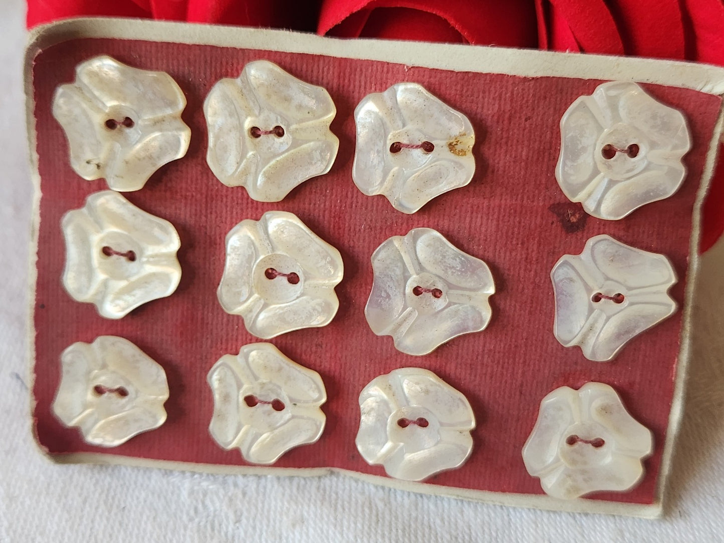 Rare petite plaque boutons anciens en nacre  1,3 cm  lot de 12 n°27