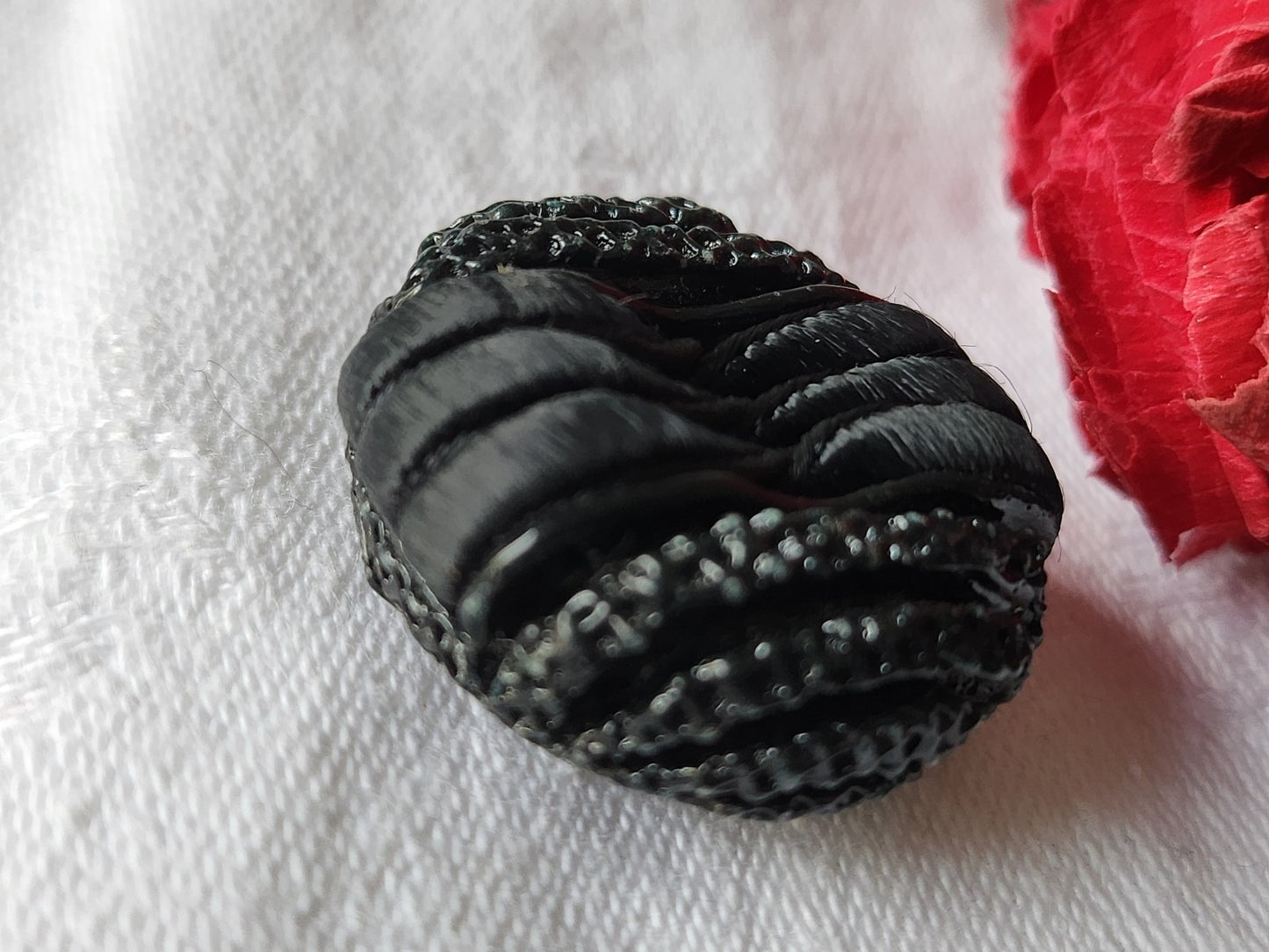 gros bouton vintage résine et passementerie noir 2,7 cm G13Q
