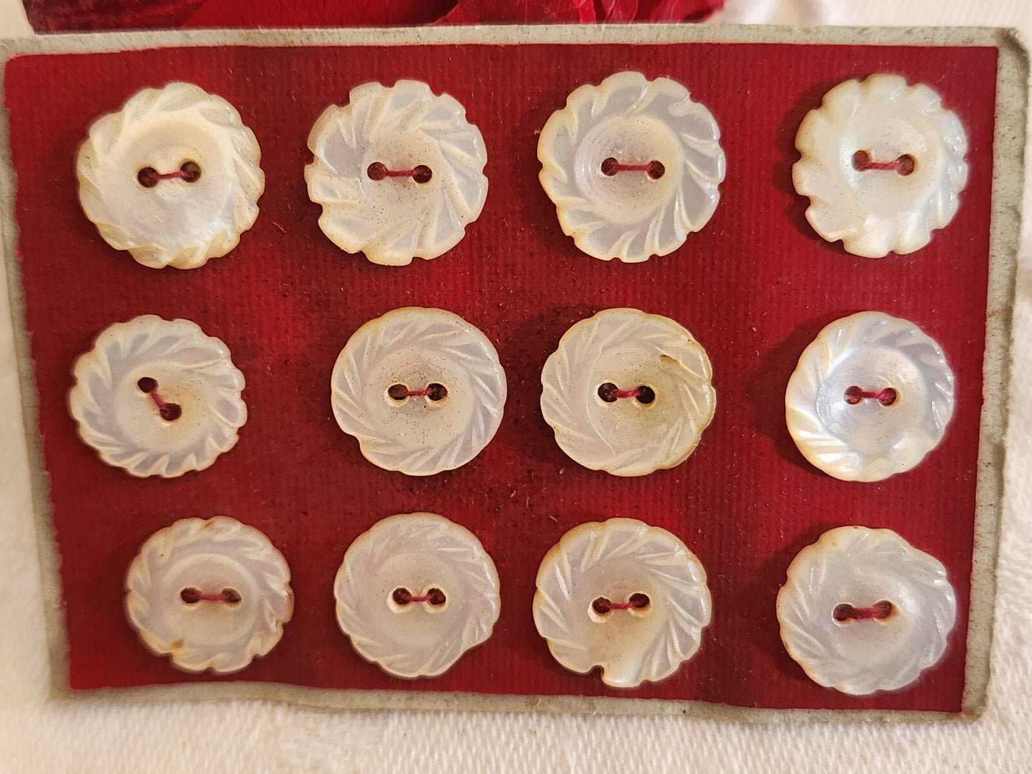 Rare petite plaque boutons anciens en nacre  1,2 cm  lot de 12 n°1l