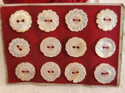 Rare petite plaque boutons anciens en nacre  1,2 cm  lot de 12 n°1l
