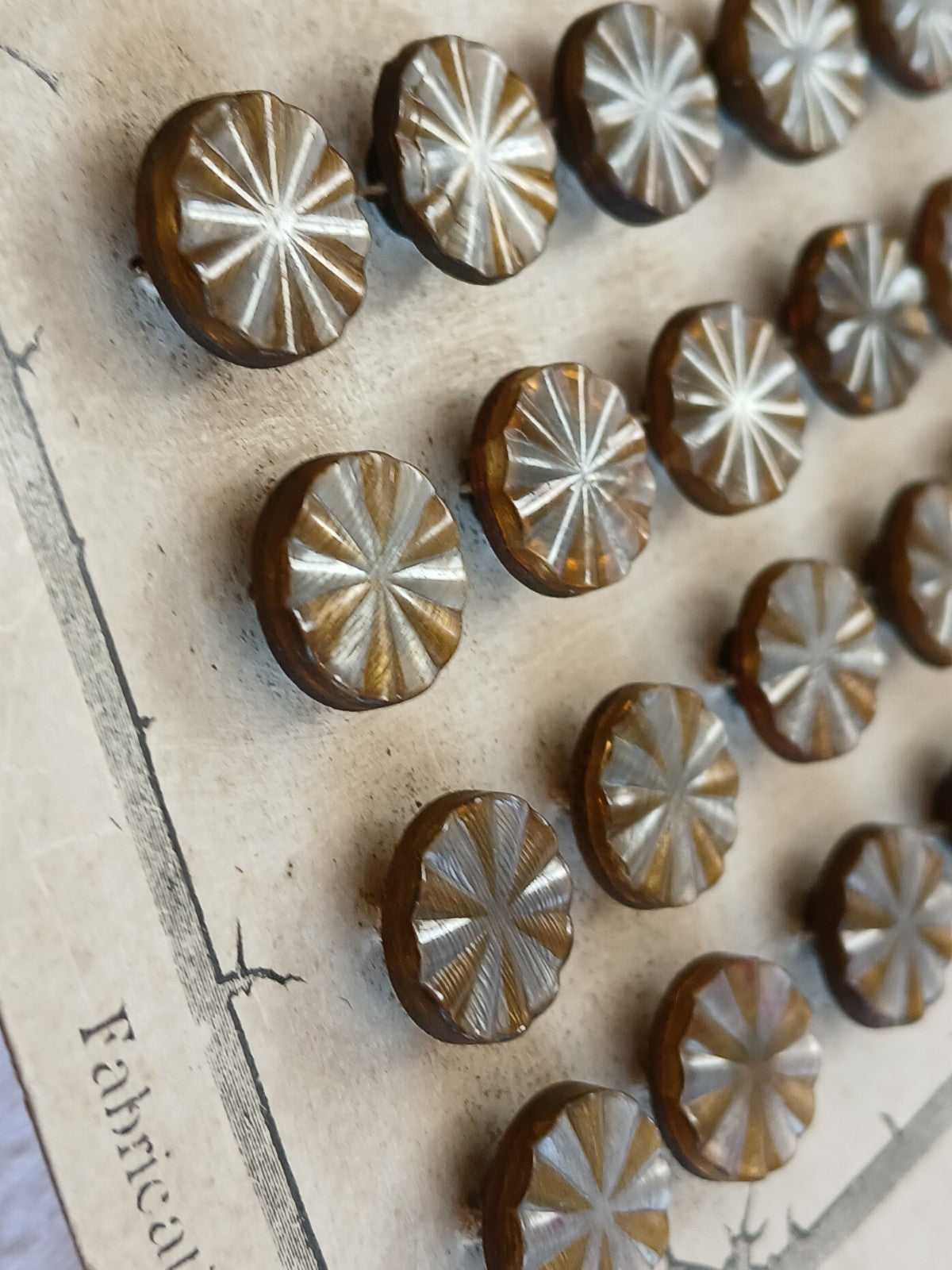 Collection lot 24 boutons anciens pieds  1,1 cm ou 11 mm vers 1900