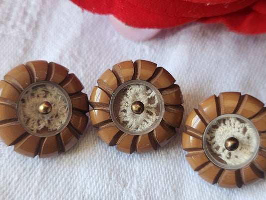 Trio boutons anciens dentelle emprisonnée marron 1,8 cm G16D