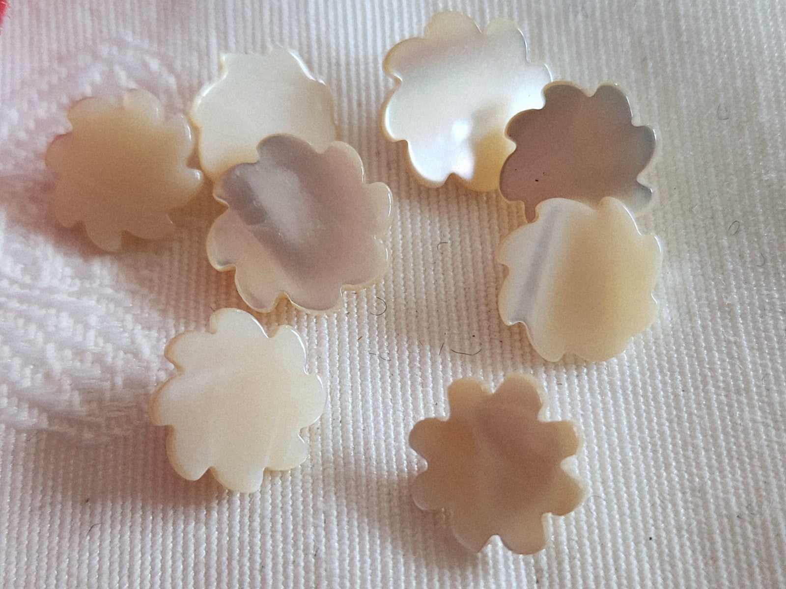Collection lot 8 boutons vintage en nacre beige  1,1 cm et 1,2 spirale ref 6407