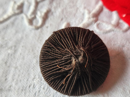 Gros bouton ancien en passementerie marron  superbe 3,1 cm D12T