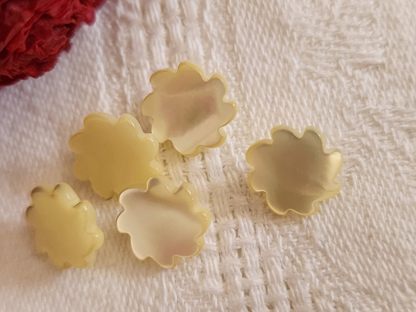 Lot 5 boutons anciens en nacre travaillé jaune 1/1,1 cm pied ref 234