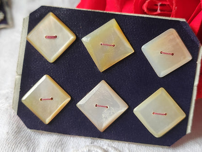 Rare petite plaque boutons anciens en nacre  1,5 cm  lot de 6 n°54