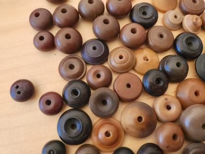 Lot  boutons anciens en corozo dit "sifflets" listing 1,1 à 1,8 cm photo  T10