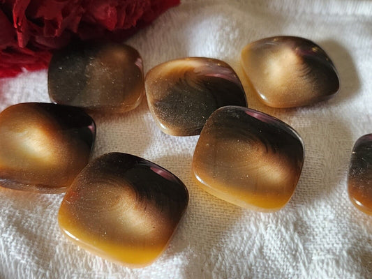 Lot 6 boutons vintage marron camaïeu à pied 2,1 cm ref 3197