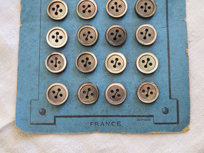 Plaque 24  boutons anciens en nacre gris 1,2 cm année 20/30 N°32