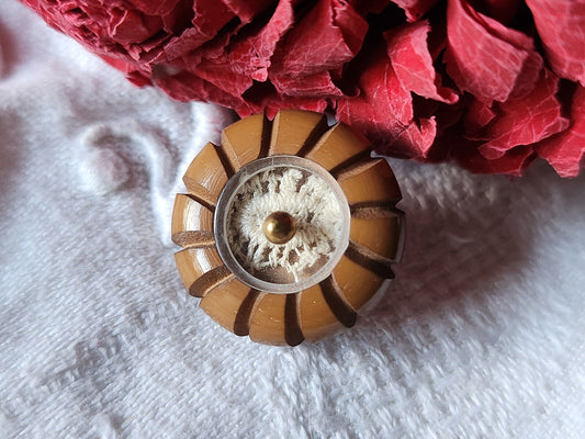 Bouton ancien collection marron dentelle emprisonnée 1,8 cm ref 346