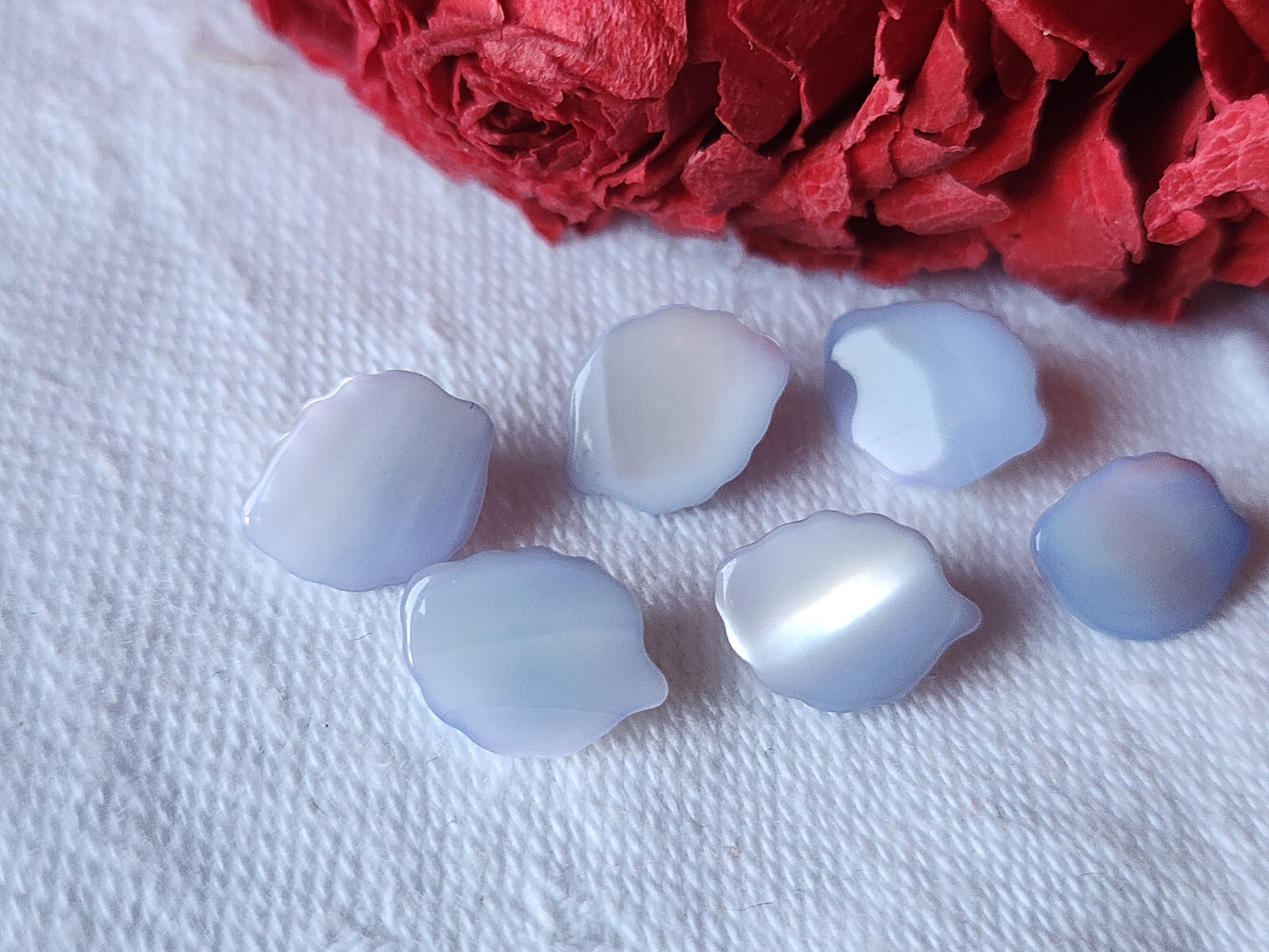 Lot 6 mini boutons anciens en nacre feuille bleu  pied 1,1 sur 0,8 cm ref 521