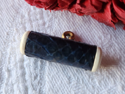 Collection bouton ancien tube repyile bleu 2,4 cm sur 0,7 cm D9A