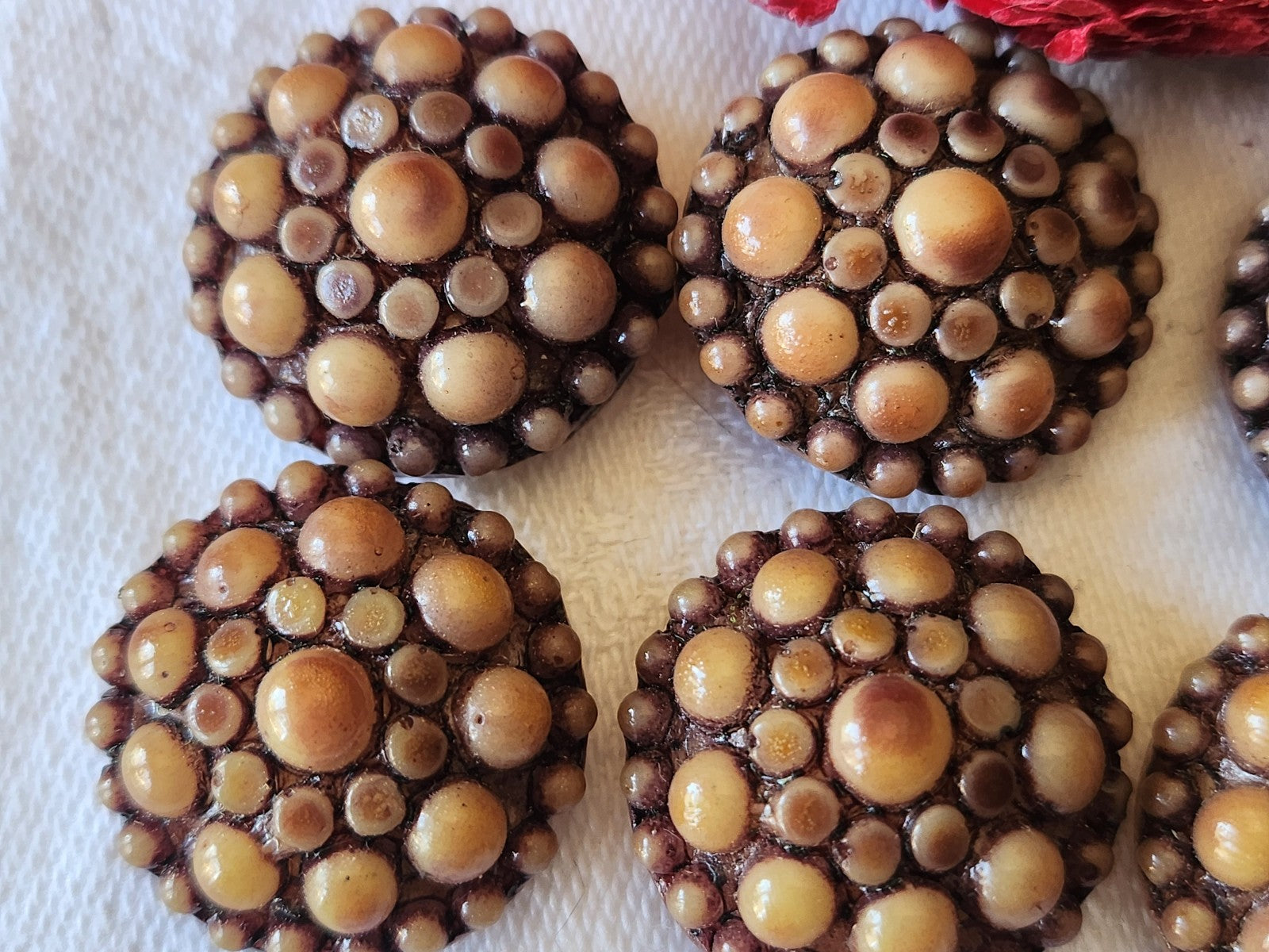 Lot 6 boutons vntage en résine marron  2,1 cm pied ref 4844
