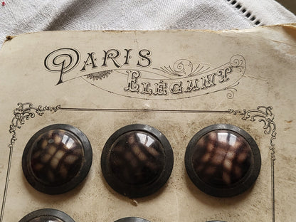Lot 12  anciens gros boutons en celluloïd  violet métal 3,1 cm plaque T18