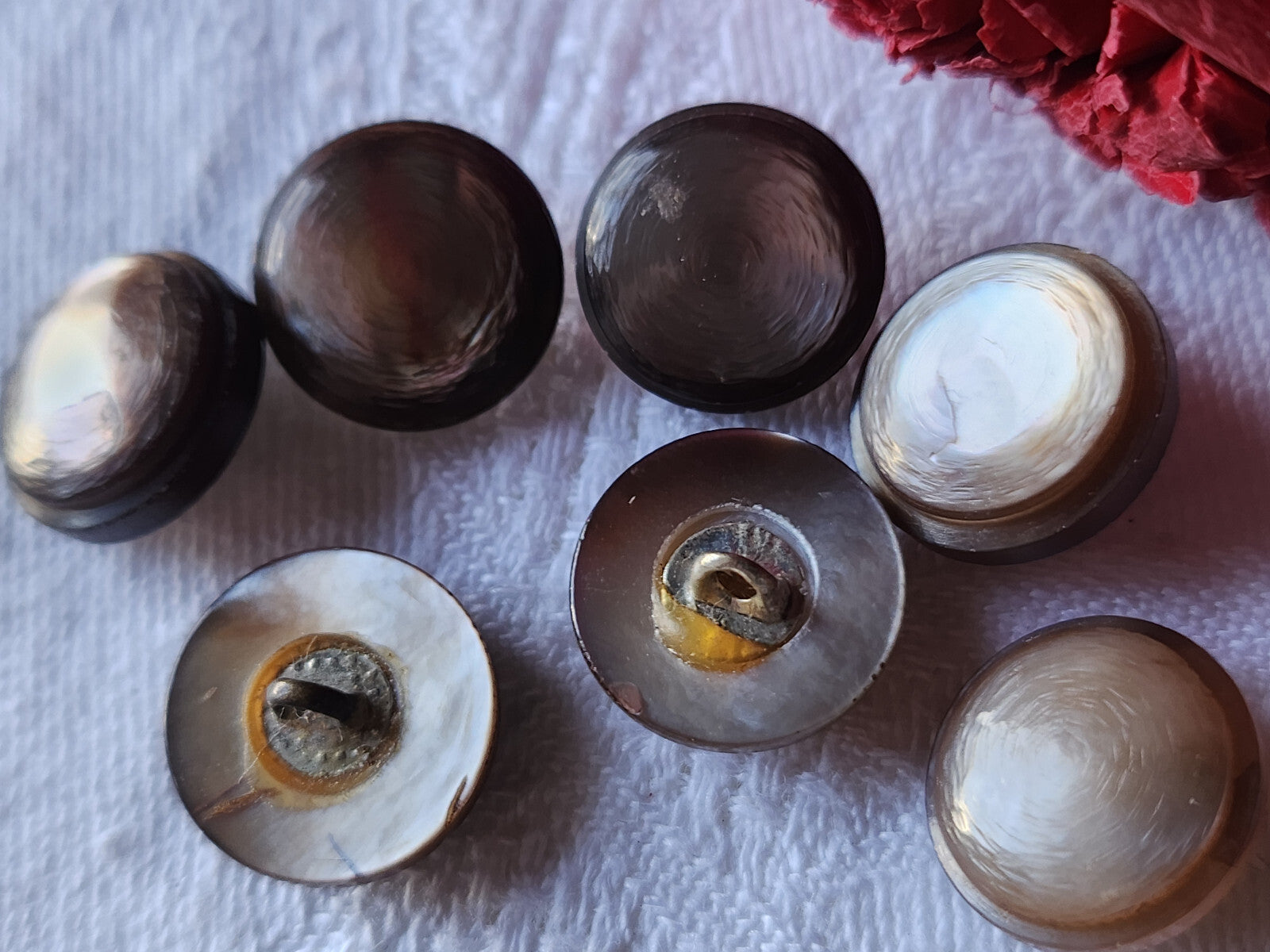 Panaché lot 7 boutons anciens en nacre marron à pied 1,4 cm ref 5856