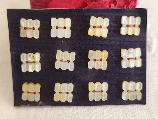 Rare  plaque lot 12 boutons ancien en nacre forme MINI originale  n°3J