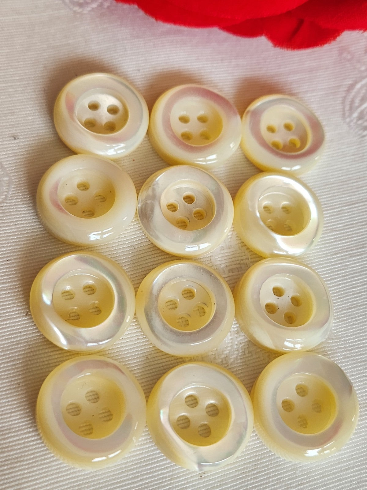 Lot  12 boutons anciens en nacre blanc épais bord 1,7 cm lourd ref  6352