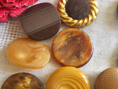 Lot 12 jolis boutons vintage  panache marron à pied 1,9 à 2,3 cm ref 3538