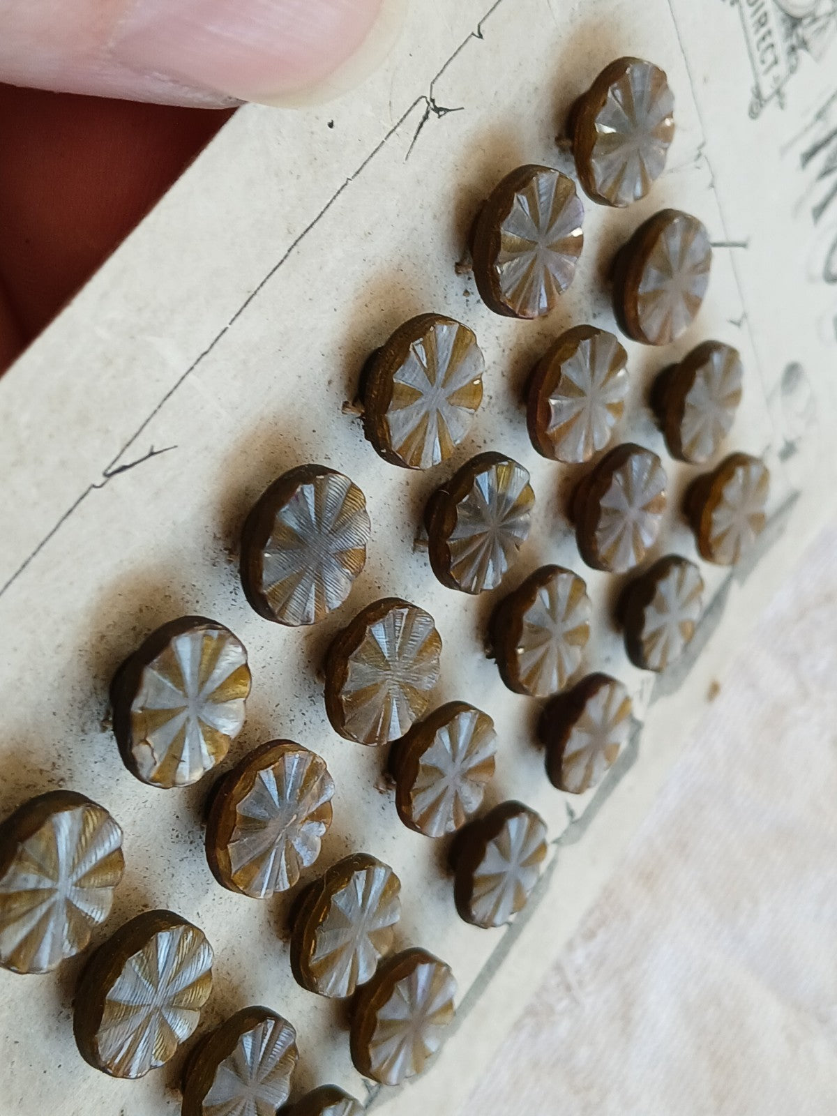 Collection lot 24 boutons anciens pieds  1,1 cm ou 11 mm vers 1900