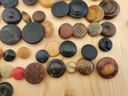 Lot 100 boutons anciens en corozo à pied 1 cm à 2 cm N°3 T10