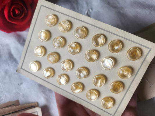 petite plaque de 24 boutons vintage créme beige pied 1, 1 cm