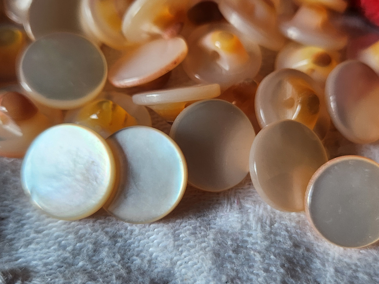 lot 6 boutons anciens en nacre peche lisse pied  1,1 cm ref 1491