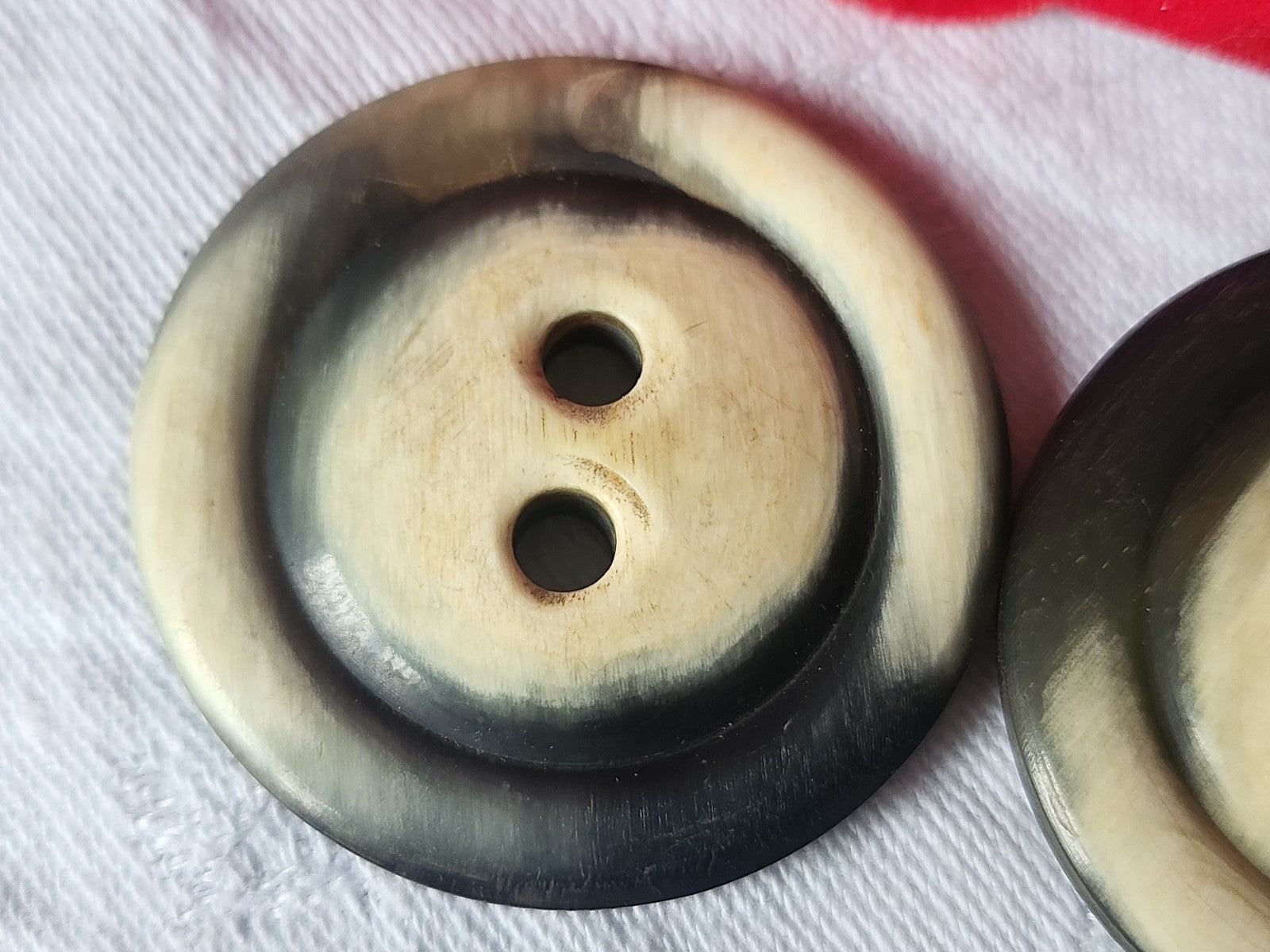 Duo gros boutons anciens en corne creme XXL 3,9 cm ref 1902