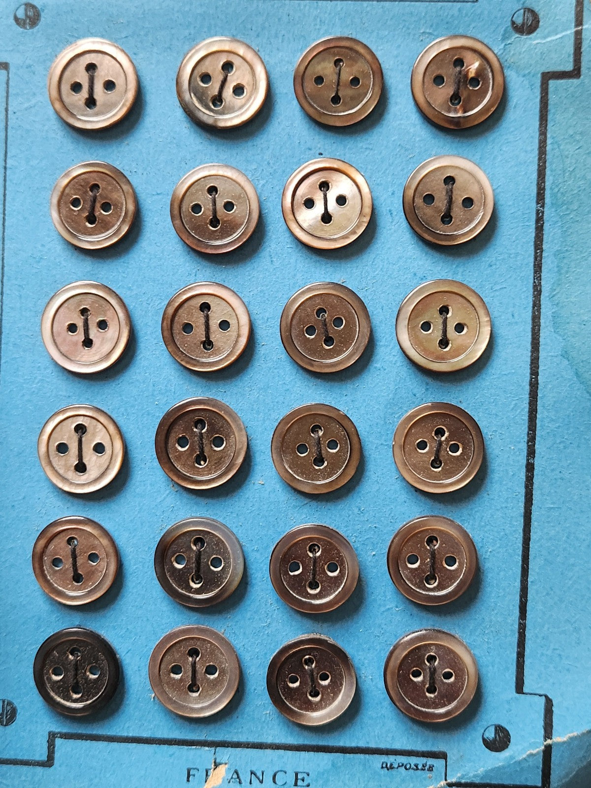 Plaque 24 boutons anciens en nacre gris 1,2 cm année 20/30 N°2