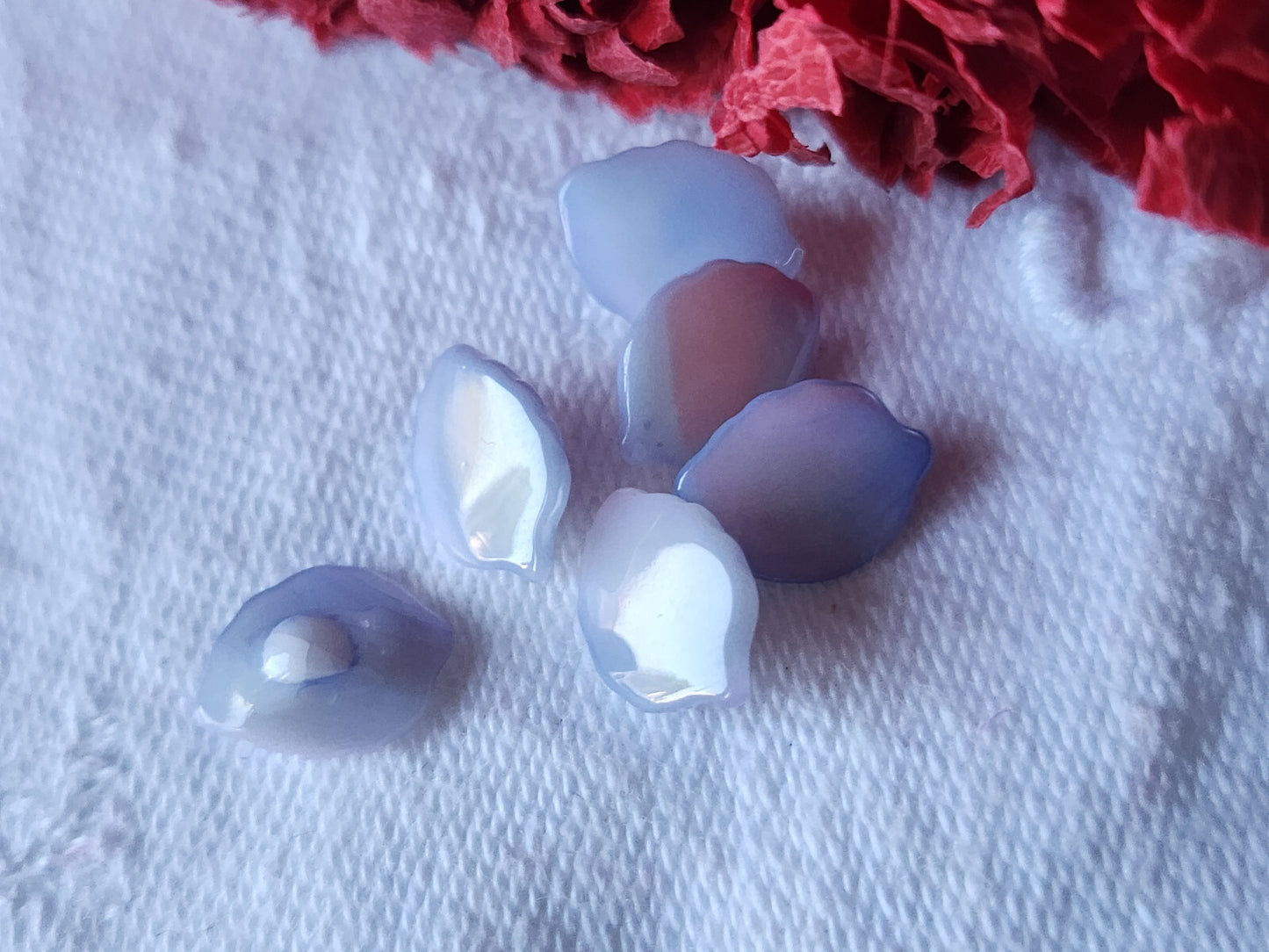 Lot 6 mini boutons anciens en nacre feuille bleu  pied 1,1 sur 0,8 cm ref 521