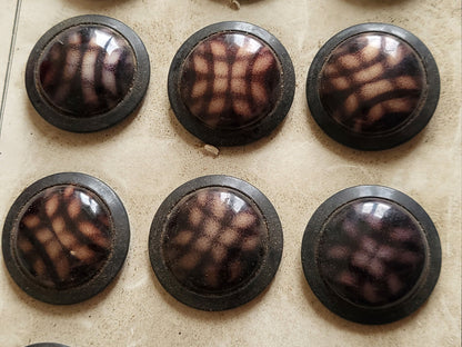 Lot 12  anciens gros boutons en celluloïd  violet métal 3,1 cm plaque T18