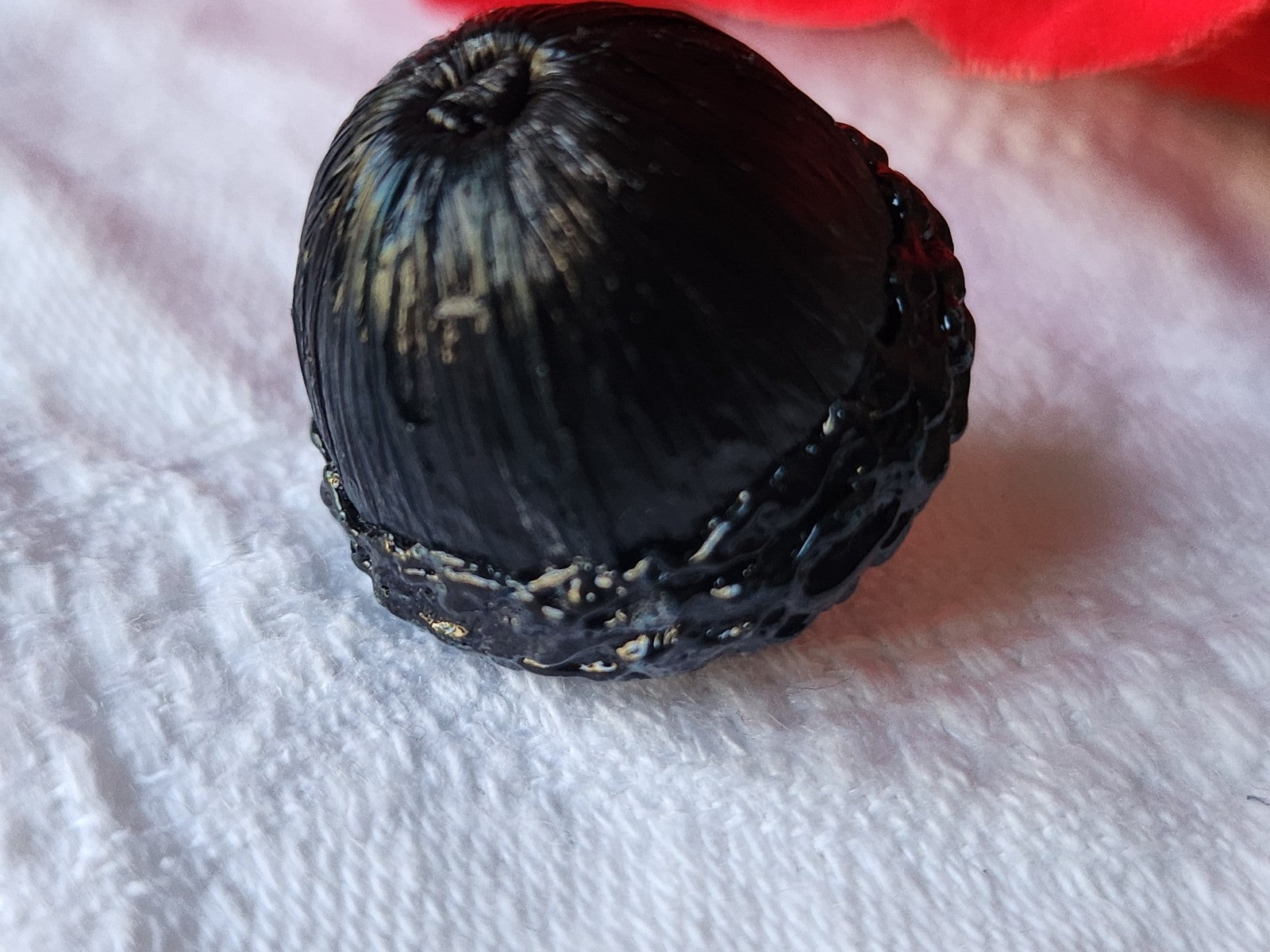 Bouton ancien rafia résine noir gland volume 2,2 cm ref 3900