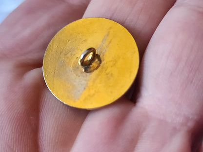 Bouton vintage tete de lion en métal pied versace ??? 2 cm D3D
