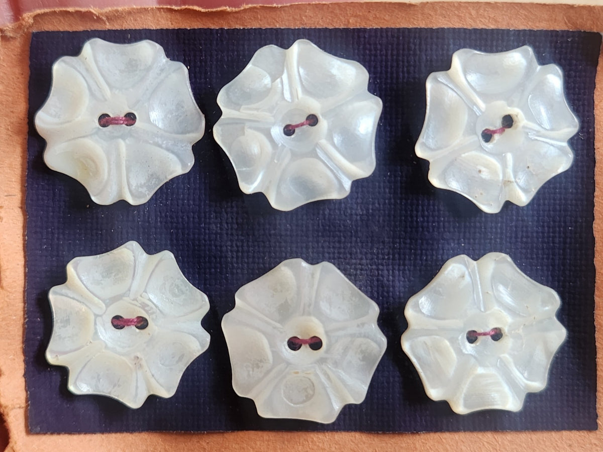 Rare petite plaque boutons anciens en nacre 1,6/  1,7 cm  lot de 6 n°71