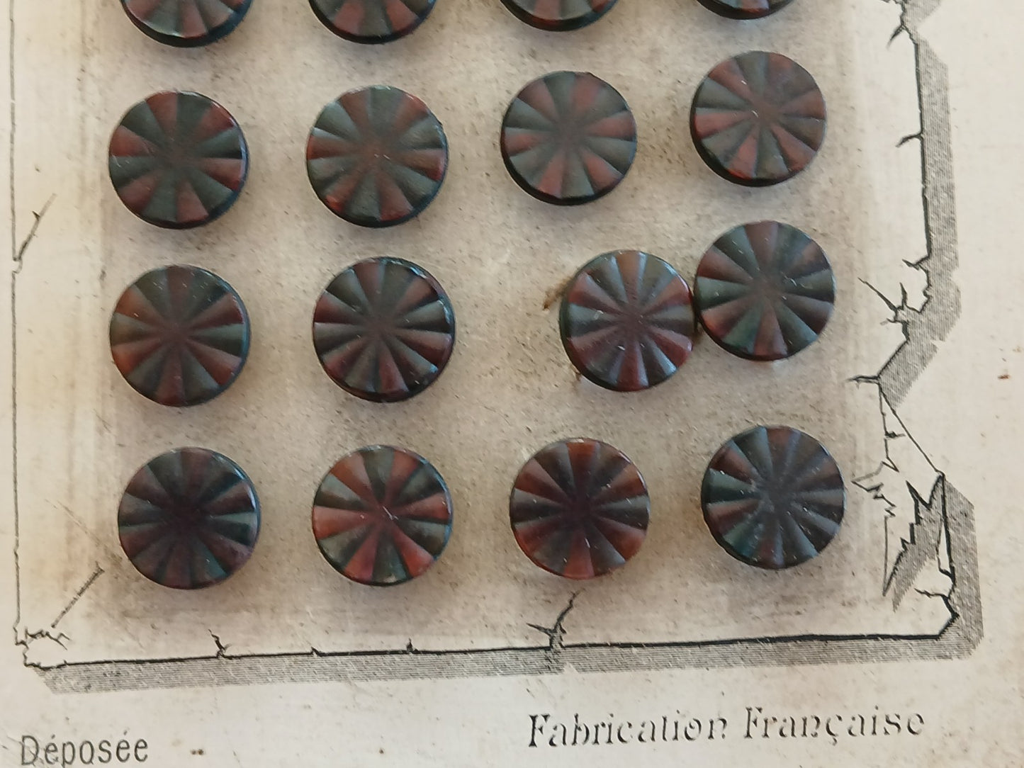 Collection lot 24 boutons anciens pieds  1,1 cm ou 11 mm vers 1900