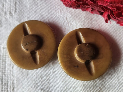 Duo gros  boutons anciens en corozo à pied marron 3,1 cm D19K
