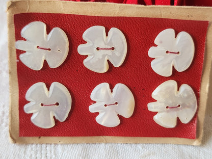 Rare petite plaque boutons anciens en nacre  1,7 cm  lot de 6 n°46