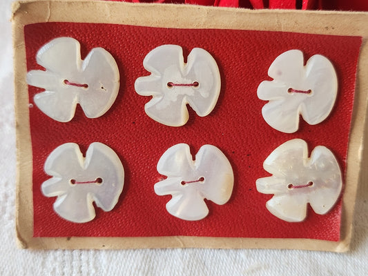 Rare petite plaque boutons anciens en nacre  1,7 cm  lot de 6 n°46