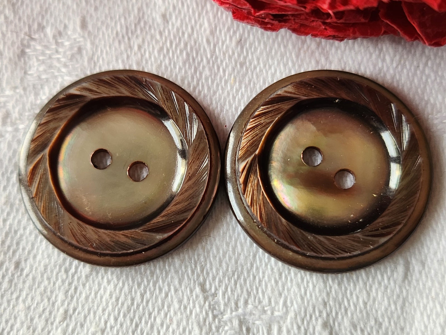 Duo boutons anciens vintage en nacre marron travaillé 2,3 cm G13E