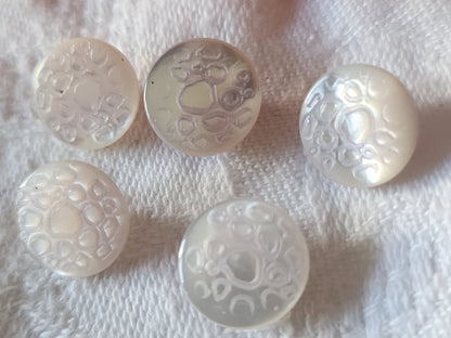 Lot 5 boutons anciens en nacre reflet violet  clair alveole pied 1,1 cm D19F