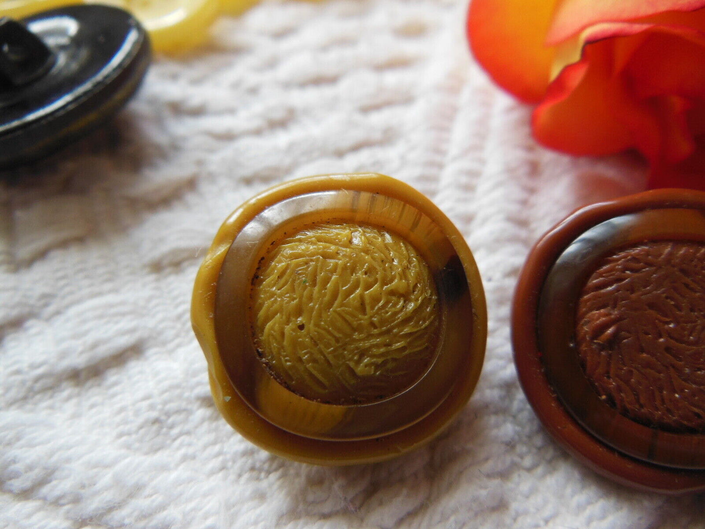 Duo boutons vintage en résine pour collection marron 2 cm D9N