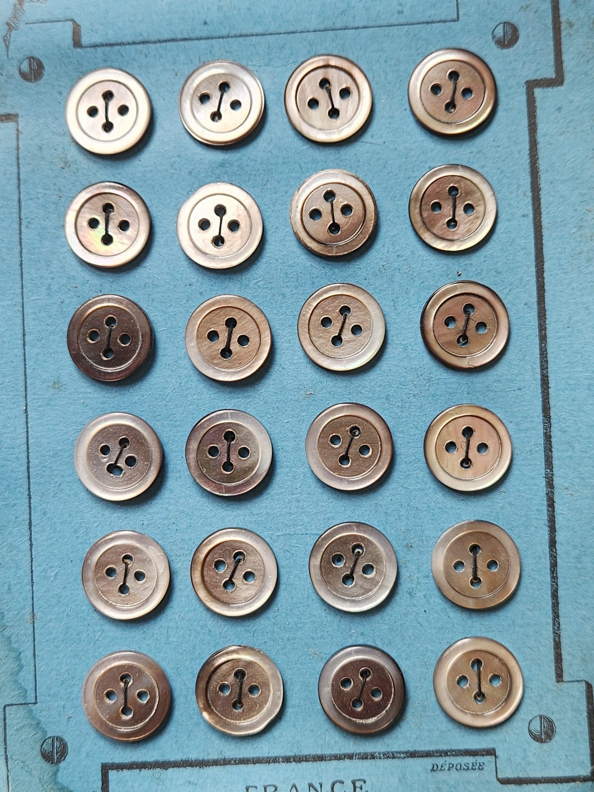 Plaque 24 boutons anciens en nacre gris 1,2 cm année 20/30 N°5