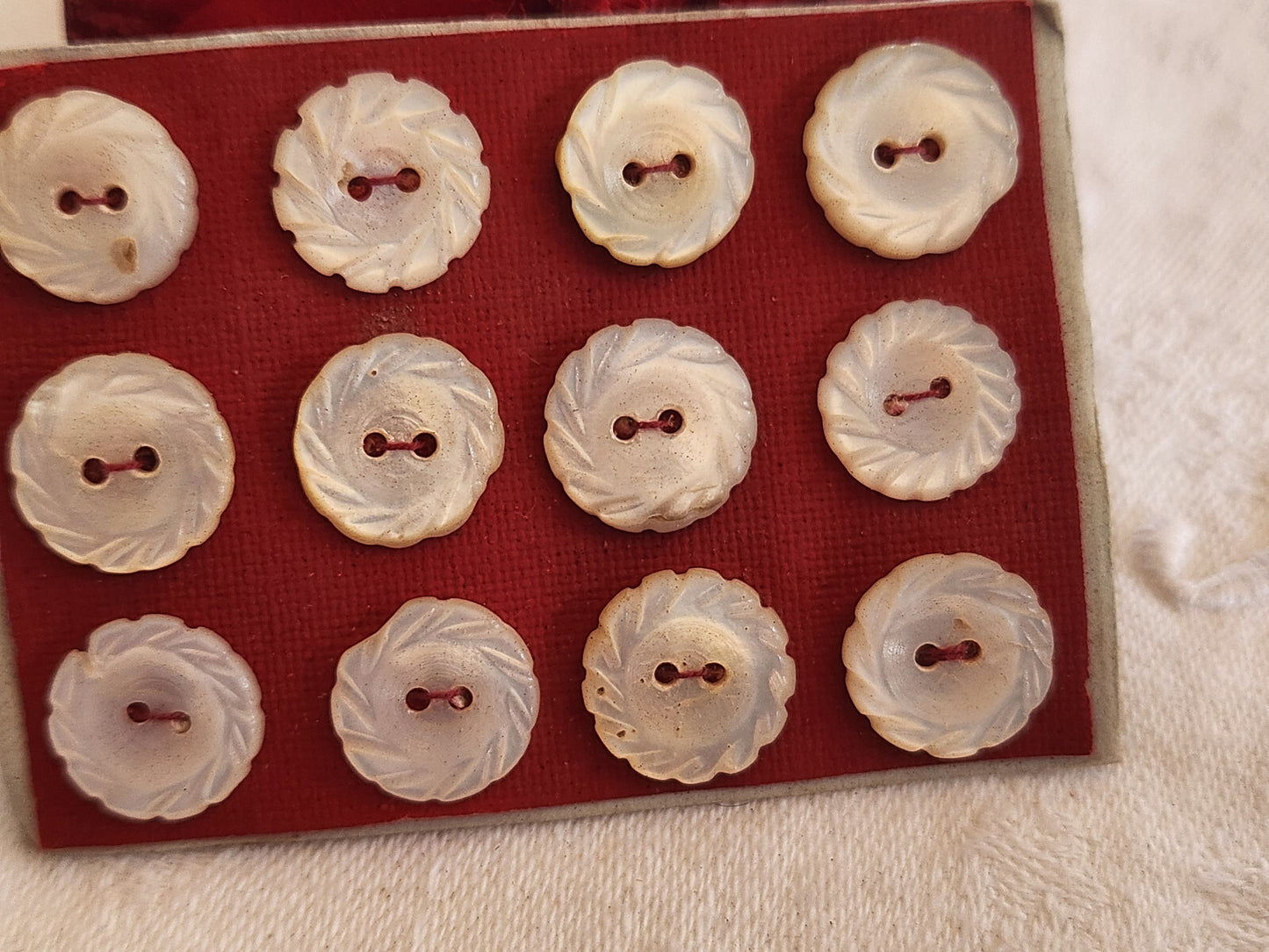 Rare petite plaque boutons anciens en nacre  1,2 cm  lot de 12 n°3L