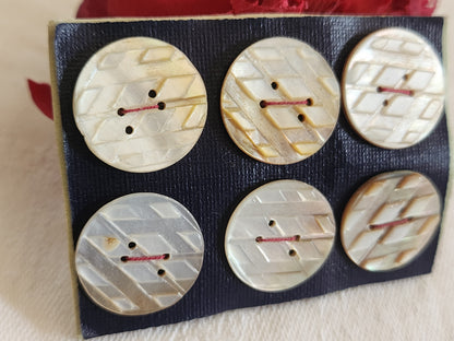 Rare petite plaque boutons anciens en nacre  1,7 cm  lot de 6 n°2B