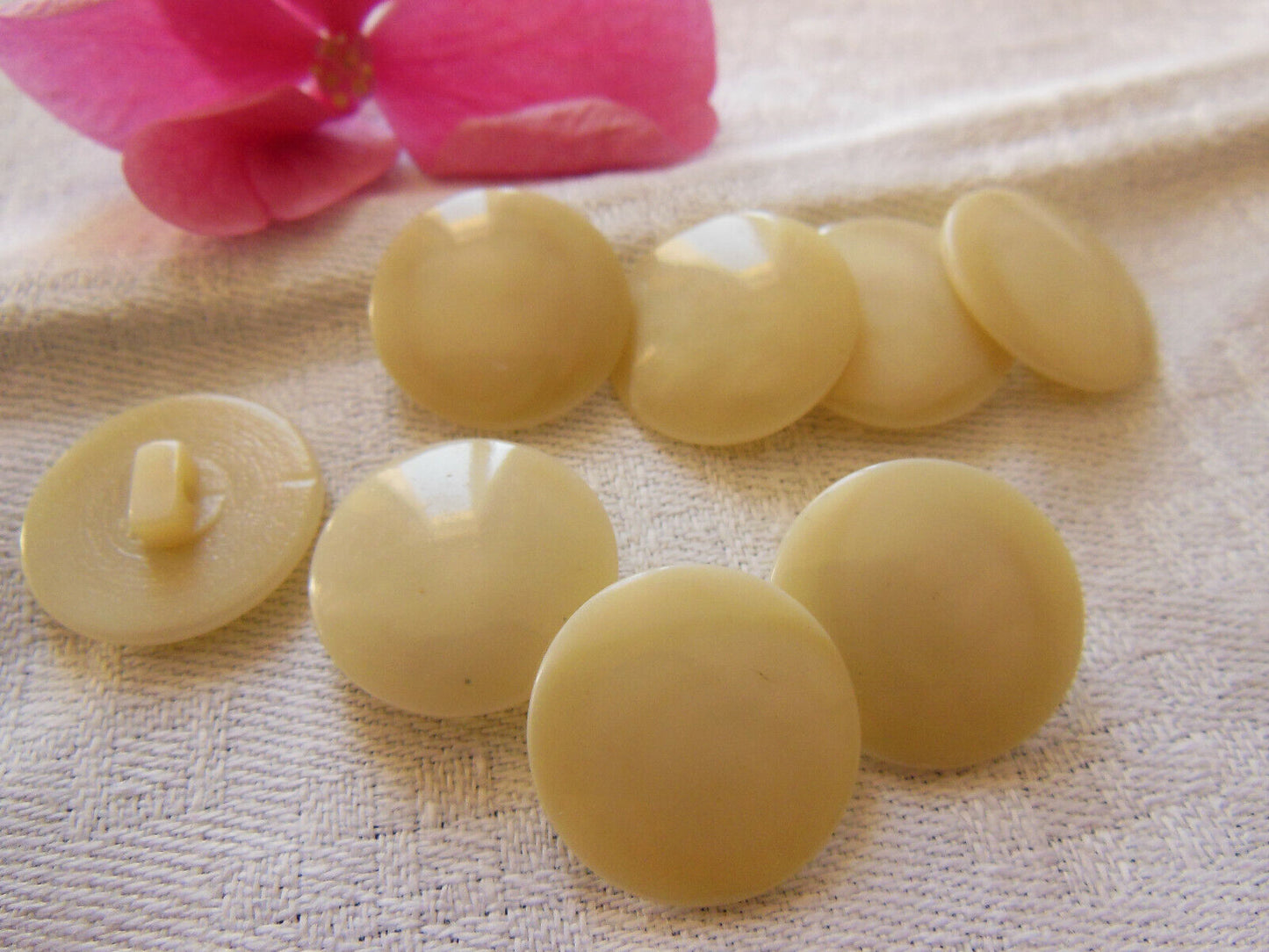 Lot 8 boutons vintage creme  veiné à pied diamètre 1,8  cm ref 2923