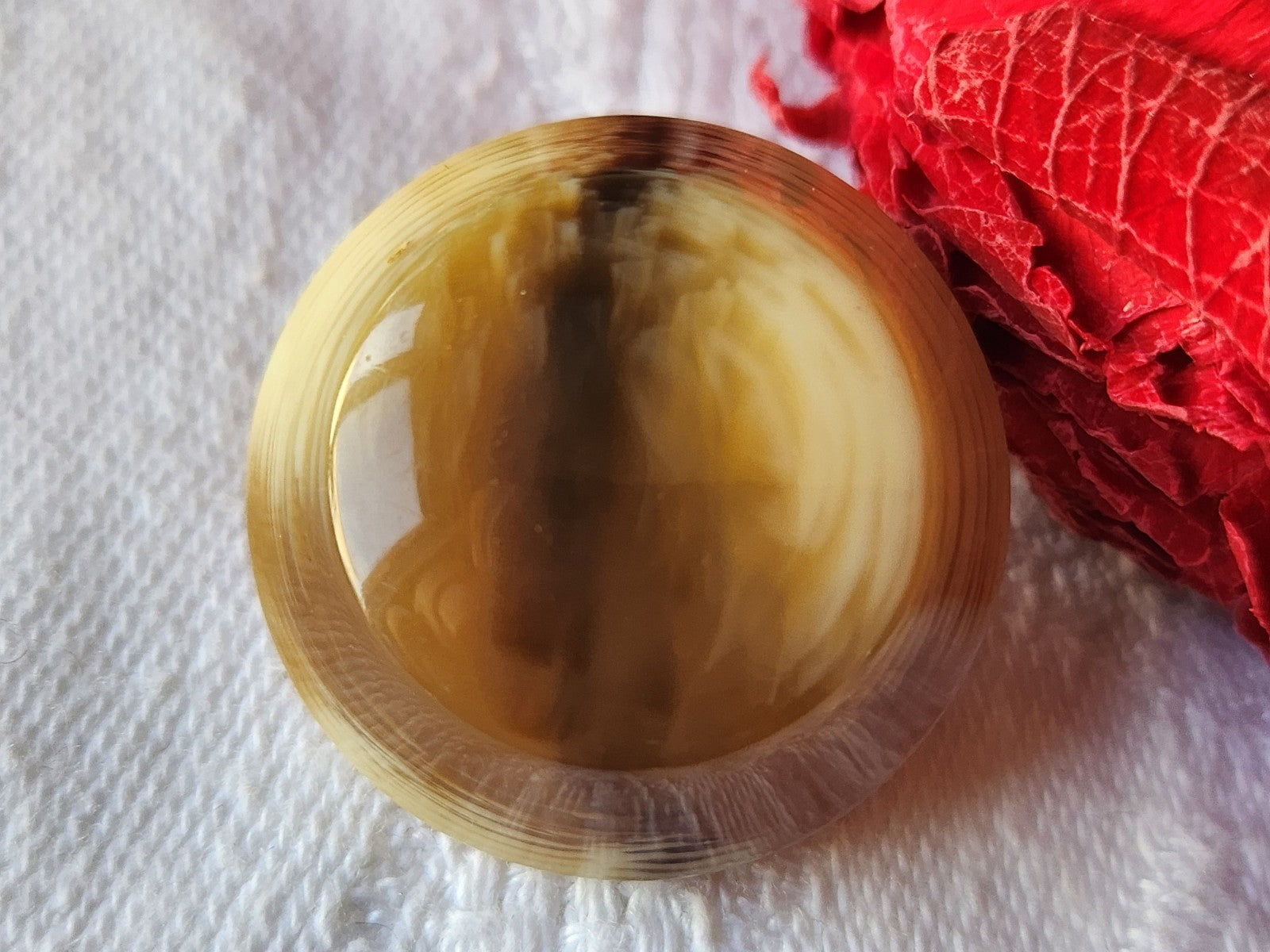 Ancien bouton imitation corne volume pied  laiton 2,5 cm G14K